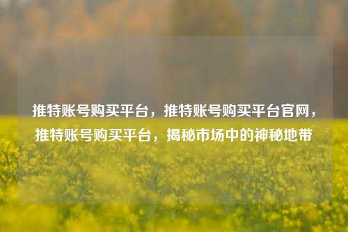 推特账号购买平台，推特账号购买平台官网，推特账号购买平台，揭秘市场中的神秘地带