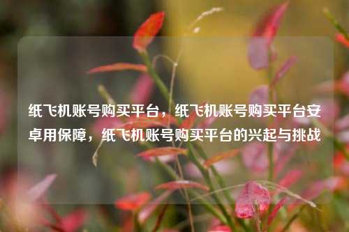 纸飞机账号购买平台	，纸飞机账号购买平台安卓用保障，纸飞机账号购买平台的兴起与挑战  第1张