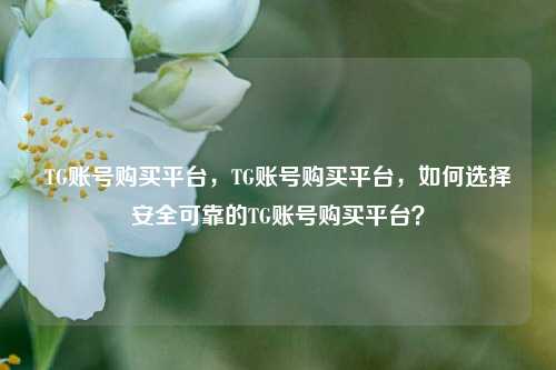 TG账号购买平台，TG账号购买平台，如何选择安全可靠的TG账号购买平台？