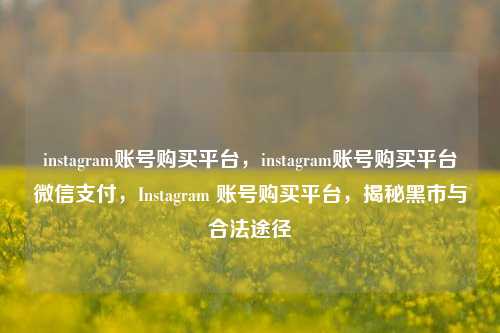 instagram账号购买平台，instagram账号购买平台微信支付，Instagram 账号购买平台，揭秘黑市与合法途径