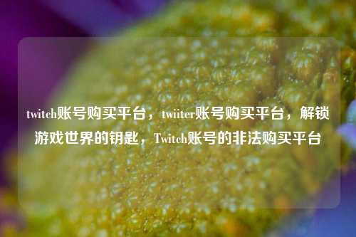 twitch账号购买平台，twiiter账号购买平台，解锁游戏世界的钥匙，Twitch账号的非法购买平台