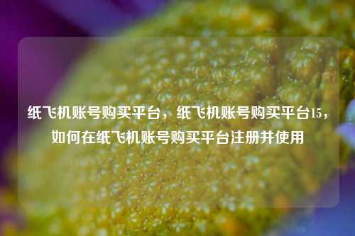 纸飞机账号购买平台，纸飞机账号购买平台15，如何在纸飞机账号购买平台注册并使用
