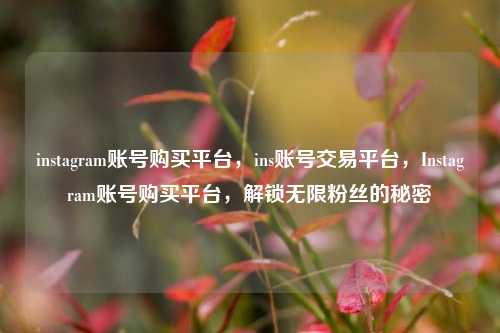 instagram账号购买平台，ins账号交易平台，Instagram账号购买平台，解锁无限粉丝的秘密