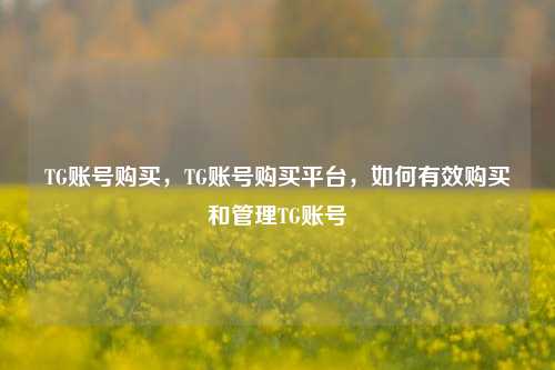 TG账号购买，TG账号购买平台，如何有效购买和管理TG账号