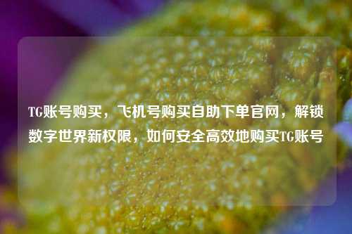 TG账号购买，飞机号购买自助下单官网，解锁数字世界新权限，如何安全高效地购买TG账号