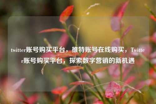 twitter账号购买平台，推特账号在线购买，Twitter账号购买平台，探索数字营销的新机遇