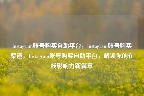instagram账号购买自助平台，instagram账号购买渠道	，Instagram账号购买自助平台，解锁你的在线影响力新篇章  第1张