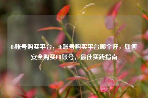 fb账号购买平台	，fb账号购买平台哪个好，如何安全购买FB账号，最佳实践指南  第1张
