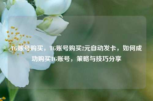 TG账号购买	，TG账号购买2元自动发卡，如何成功购买TG账号，策略与技巧分享  第1张
