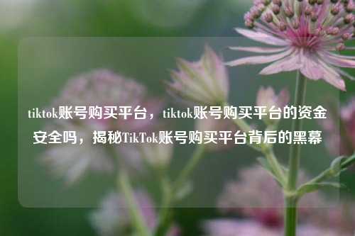 tiktok账号购买平台，tiktok账号购买平台的资金安全吗，揭秘TikTok账号购买平台背后的黑幕
