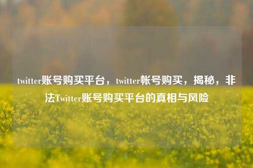 twitter账号购买平台，twitter帐号购买，揭秘	，非法Twitter账号购买平台的真相与风险  第1张