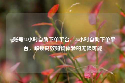tg账号24小时自助下单平台，24小时自助下单平台，解锁高效购物体验的无限可能