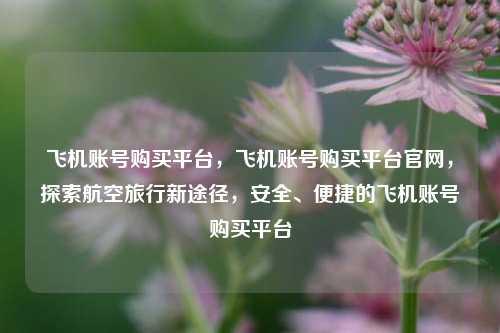 飞机账号购买平台，飞机账号购买平台官网，探索航空旅行新途径，安全、便捷的飞机账号购买平台