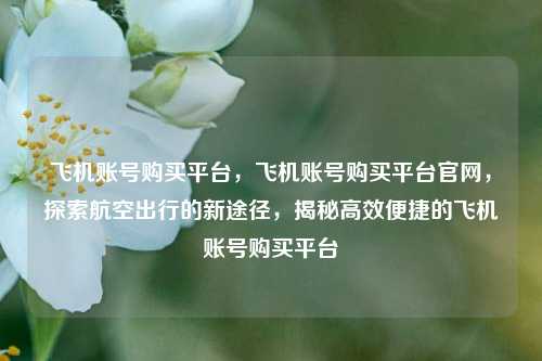 飞机账号购买平台，飞机账号购买平台官网，探索航空出行的新途径，揭秘高效便捷的飞机账号购买平台