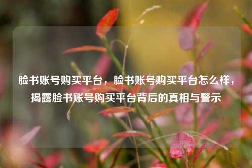 脸书账号购买平台，脸书账号购买平台怎么样，揭露脸书账号购买平台背后的真相与警示