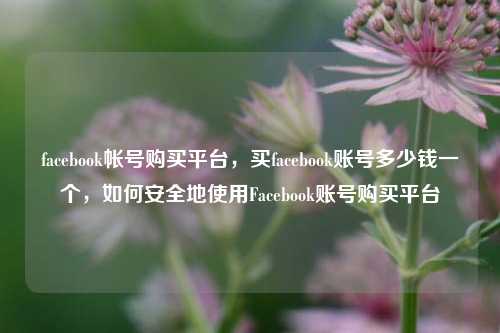 facebook帐号购买平台，买facebook账号多少钱一个，如何安全地使用Facebook账号购买平台