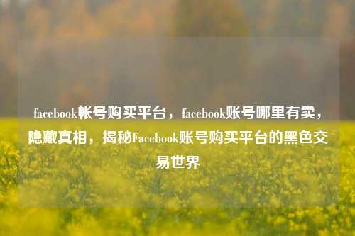 facebook帐号购买平台，facebook账号哪里有卖，隐藏真相，揭秘Facebook账号购买平台的黑色交易世界