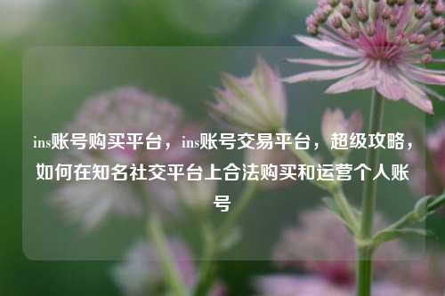 ins账号购买平台，ins账号交易平台，超级攻略，如何在知名社交平台上合法购买和运营个人账号