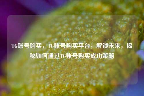 TG账号购买	，TG账号购买平台，解锁未来，揭秘如何通过TG账号购买成功策略  第1张