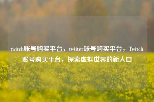 twitch账号购买平台	，twiiter账号购买平台，Twitch账号购买平台，探索虚拟世界的新入口  第1张