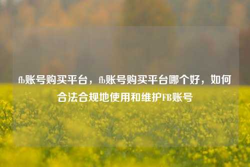fb账号购买平台，fb账号购买平台哪个好，如何合法合规地使用和维护FB账号
