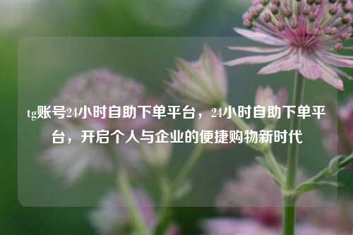 tg账号24小时自助下单平台，24小时自助下单平台，开启个人与企业的便捷购物新时代
