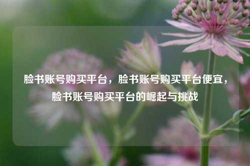 脸书账号购买平台，脸书账号购买平台便宜，脸书账号购买平台的崛起与挑战