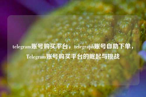 telegram账号购买平台，telegraph账号自助下单，Telegram账号购买平台的崛起与挑战