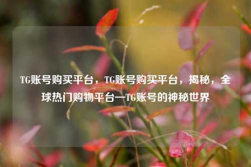 TG账号购买平台，TG账号购买平台，揭秘，全球热门购物平台—TG账号的神秘世界