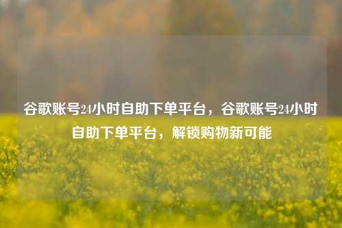 谷歌账号24小时自助下单平台，谷歌账号24小时自助下单平台，解锁购物新可能