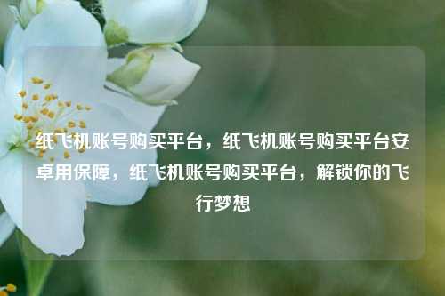纸飞机账号购买平台，纸飞机账号购买平台安卓用保障，纸飞机账号购买平台，解锁你的飞行梦想
