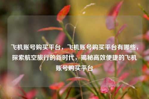 飞机账号购买平台，飞机账号购买平台有哪些，探索航空旅行的新时代，揭秘高效便捷的飞机账号购买平台