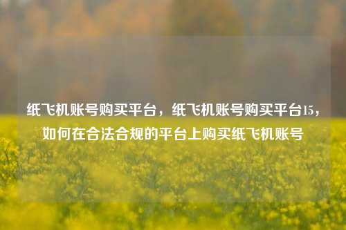 纸飞机账号购买平台，纸飞机账号购买平台15，如何在合法合规的平台上购买纸飞机账号  第1张