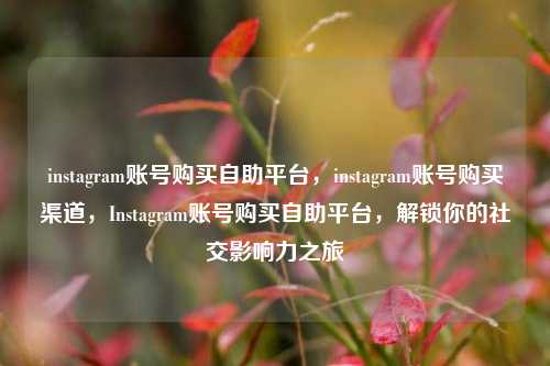 instagram账号购买自助平台，instagram账号购买渠道，Instagram账号购买自助平台，解锁你的社交影响力之旅