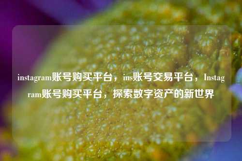 instagram账号购买平台，ins账号交易平台，Instagram账号购买平台，探索数字资产的新世界