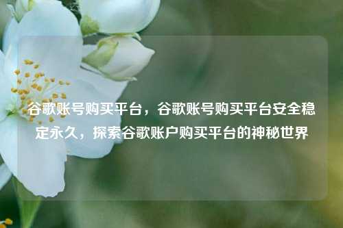 谷歌账号购买平台，谷歌账号购买平台安全稳定永久，探索谷歌账户购买平台的神秘世界