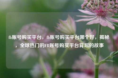 fb账号购买平台，fb账号购买平台哪个好，揭秘，全球热门的FB账号购买平台背后的故事