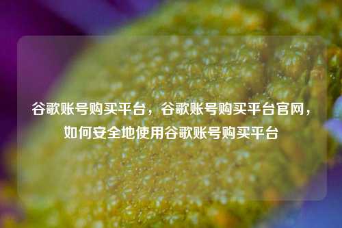 谷歌账号购买平台	，谷歌账号购买平台官网，如何安全地使用谷歌账号购买平台  第1张