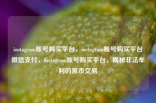instagram账号购买平台，instagram账号购买平台微信支付，Instagram账号购买平台，揭秘非法牟利的黑市交易