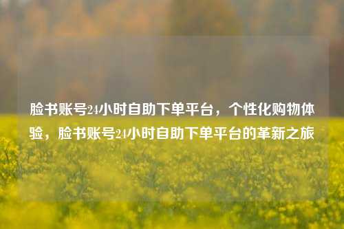脸书账号24小时自助下单平台，个性化购物体验，脸书账号24小时自助下单平台的革新之旅