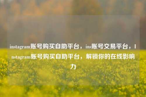 instagram账号购买自助平台，ins账号交易平台，Instagram账号购买自助平台，解锁你的在线影响力