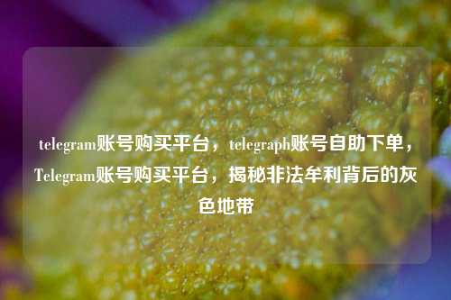 telegram账号购买平台，telegraph账号自助下单，Telegram账号购买平台，揭秘非法牟利背后的灰色地带