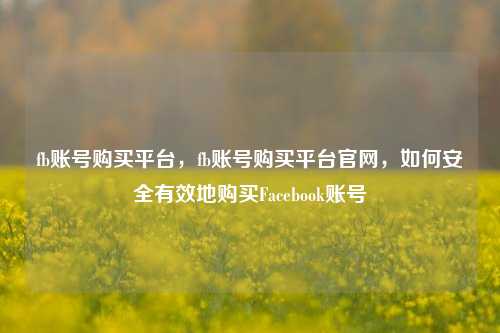 fb账号购买平台，fb账号购买平台官网，如何安全有效地购买Facebook账号
