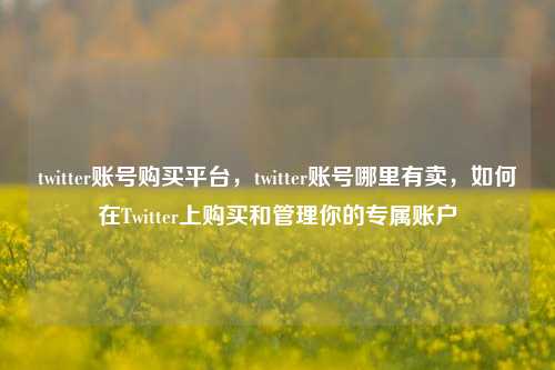 twitter账号购买平台，twitter账号哪里有卖，如何在Twitter上购买和管理你的专属账户