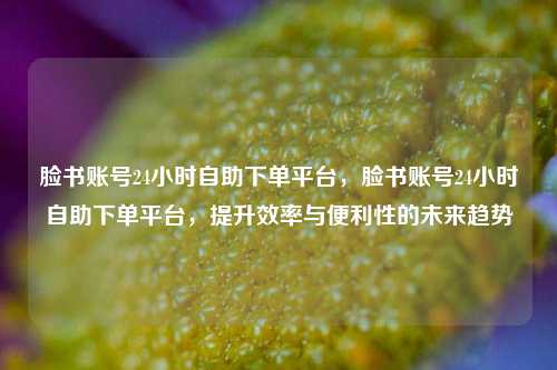 脸书账号24小时自助下单平台，脸书账号24小时自助下单平台，提升效率与便利性的未来趋势