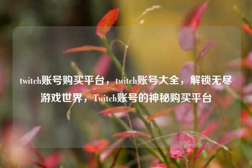 twitch账号购买平台，twitch账号大全，解锁无尽游戏世界，Twitch账号的神秘购买平台