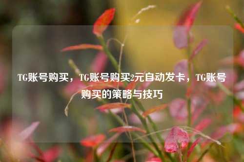 TG账号购买，TG账号购买2元自动发卡，TG账号购买的策略与技巧