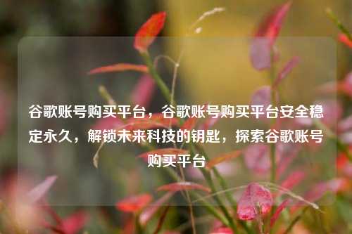 谷歌账号购买平台，谷歌账号购买平台安全稳定永久，解锁未来科技的钥匙，探索谷歌账号购买平台