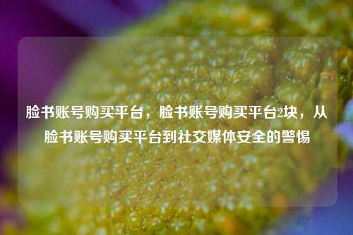脸书账号购买平台，脸书账号购买平台2块，从脸书账号购买平台到社交媒体安全的警惕