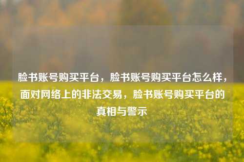 脸书账号购买平台，脸书账号购买平台怎么样，面对网络上的非法交易，脸书账号购买平台的真相与警示
